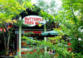 Парк бабочек в Сингапуре