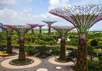 Сингапур: парк «Сады у залива»