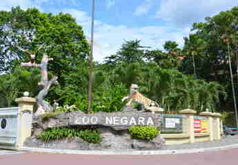 Зоопарк Негара в Куала-Лумпуре