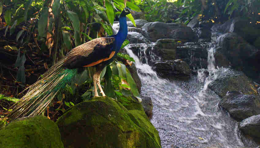 Парк озер в Куала-Лумпуре