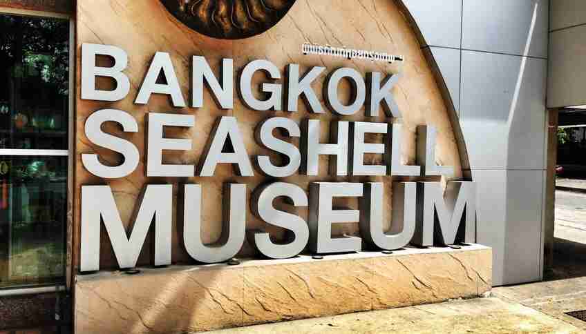 Бангкокский музей морских ракушек