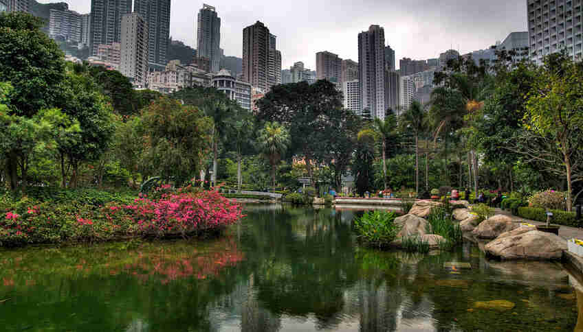 Гонконгский парк