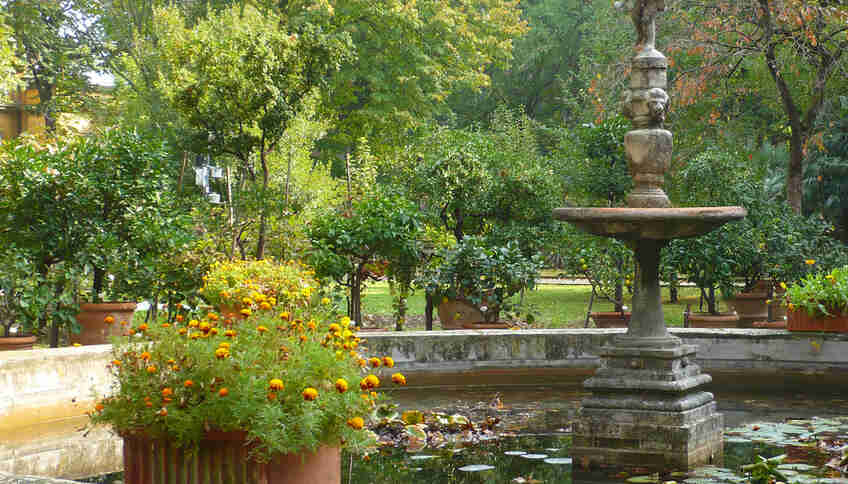 Ботанический сад Флоренции