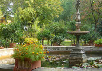 Ботанический сад Флоренции