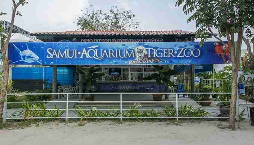 Аквариум и зоопарк тигров на Самуи