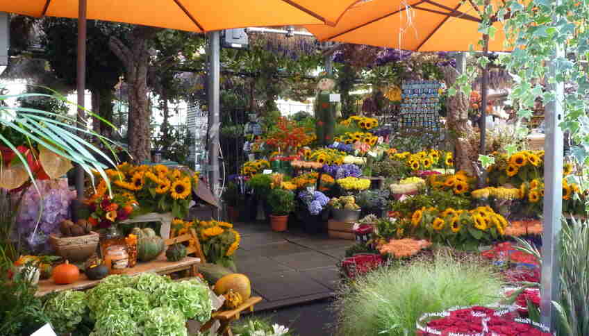 Цветочный рынок на острове Сите